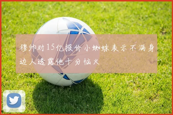 穆帅对15亿报价小蜘蛛表示不满身边人透露他十分恼火